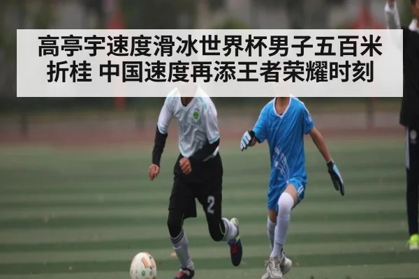 高亭宇速度滑冰世界杯男子五百米折桂 中国速度再添王者荣耀时刻