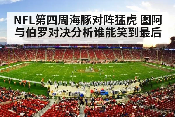 american football stadium crowd