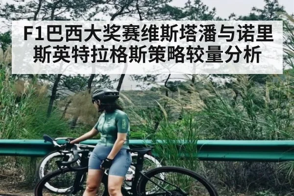 F1巴西大奖赛维斯塔潘与诺里斯英特拉格斯策略较量分析